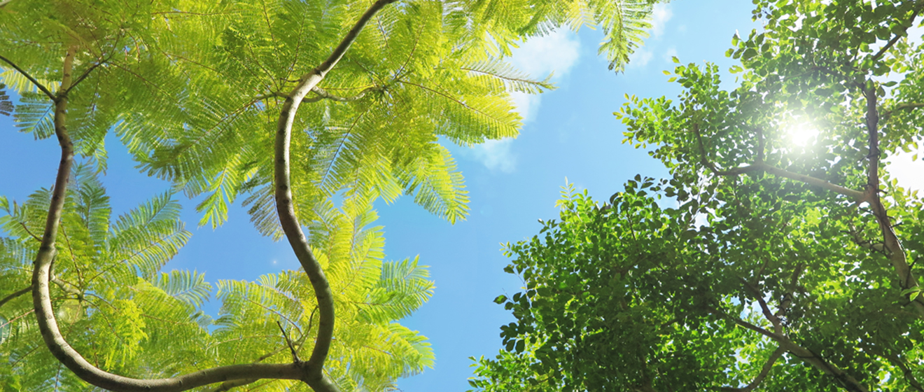 リニューアル